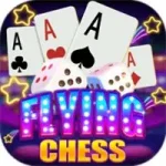 Flying Chess App